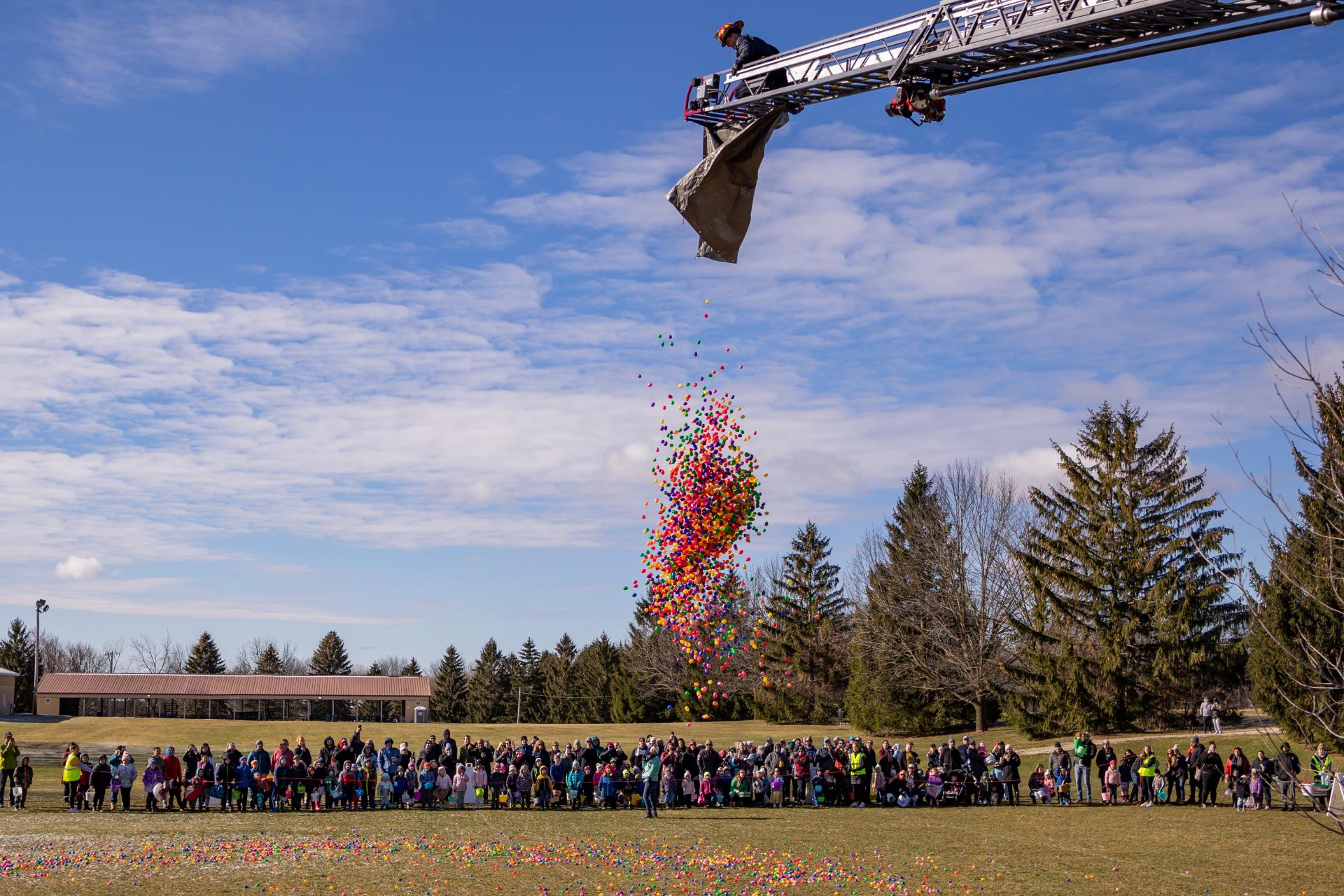 Egg Drop