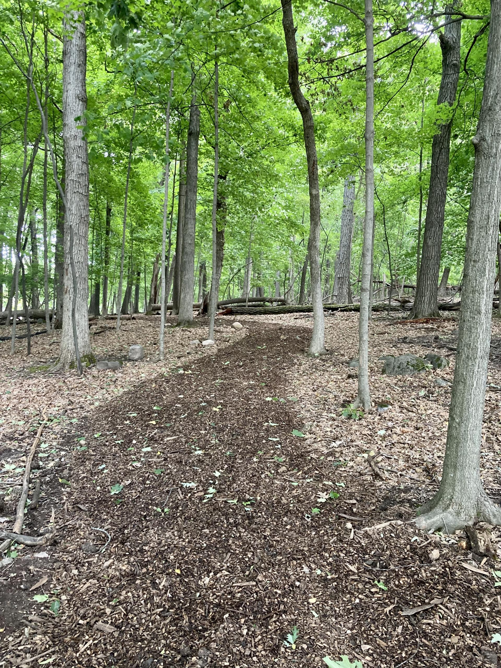 Nancy Whalen Trail